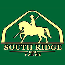 South Ridge Sign